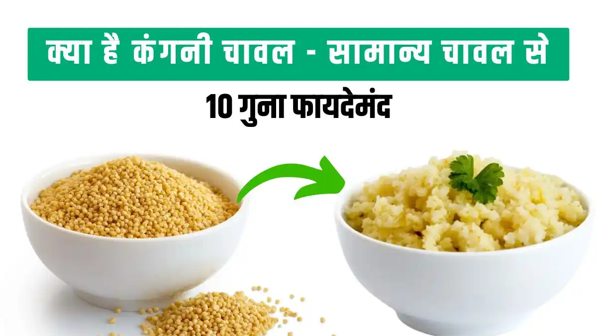 what-is-foxtail-millet-know-the-countless-benefits-and-uses-of-foxtail-millet-rice-in-hindi