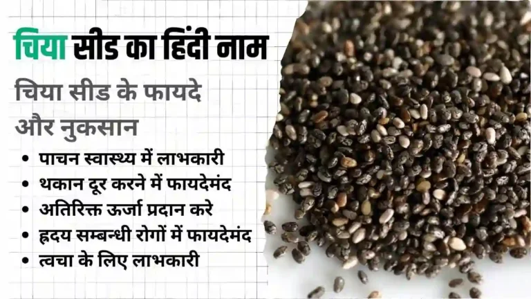 Chia Seeds in Hindi Name चिया सीड का हिंदी नाम, चिया सीड के फायदे और नुकसान और भारत में चिया के बीज 1 किलो कीम