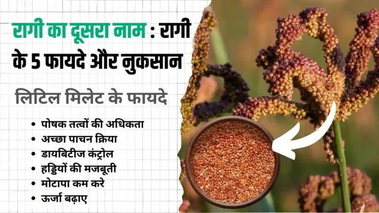 रागी का दूसरा नाम रागी के 5 फायदे और नुकसान Ragi Kya Hota Hai Finger Millet in Hindi